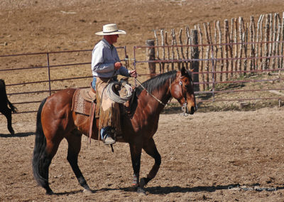 Bill - Project - Spring Gate Clinic - 2013