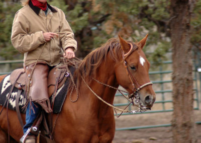 Bridges Bridle Clinic - 2013